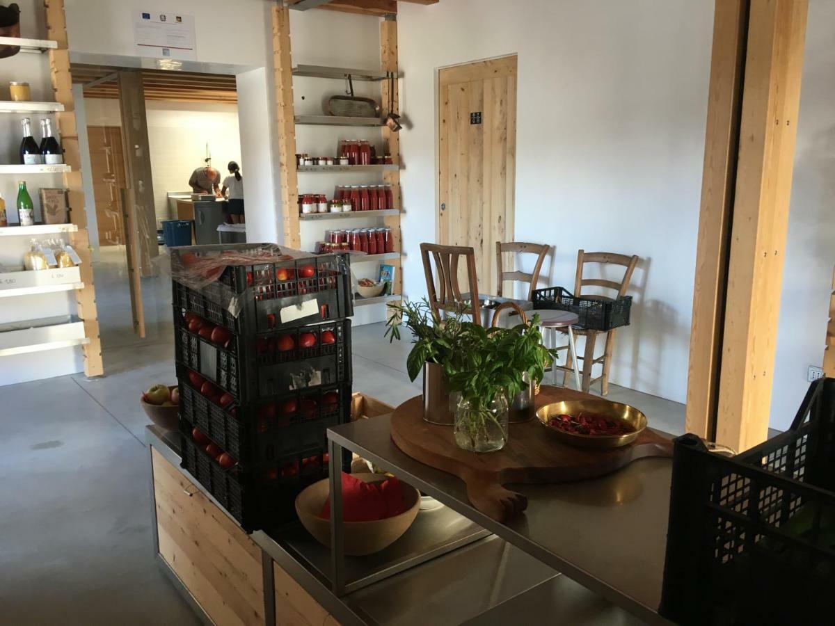 Agriturismo Corte Bertesina فيتشنزا المظهر الخارجي الصورة